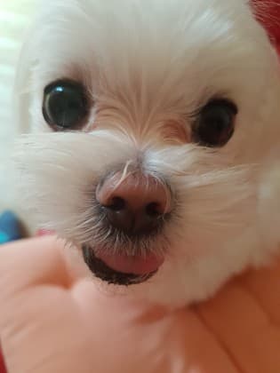 몽구°●°