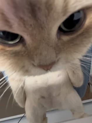 나이트!