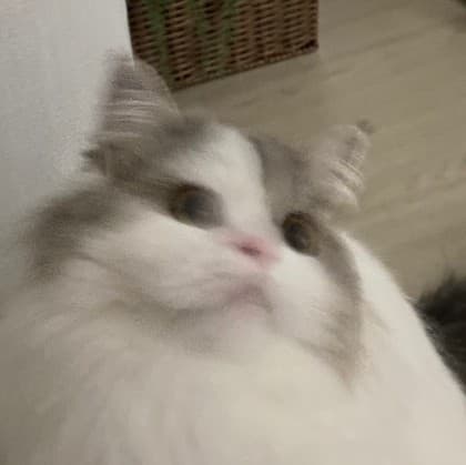천유아