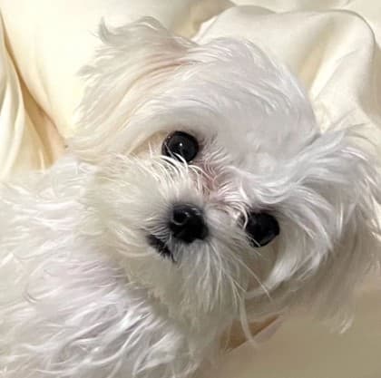 섹시절정