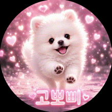 연뽀삐 프로필