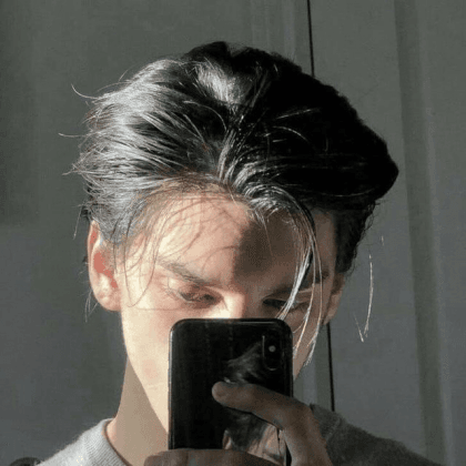 손보현