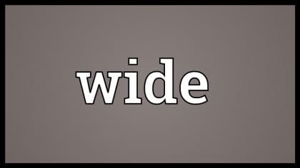 와이드