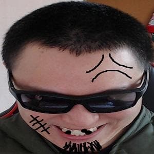 볼가지