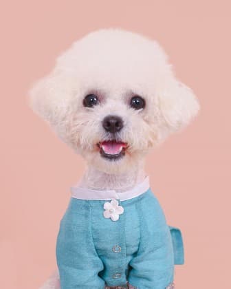 잘생긴애