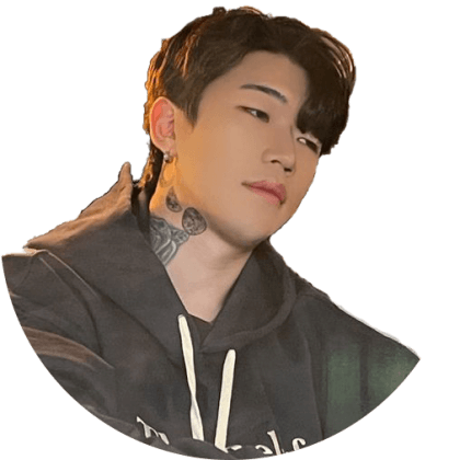 배미르