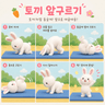 토끼앞구르기 프로필