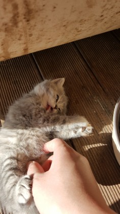 내챗읽지마 프로필