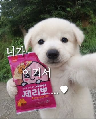 후리·
