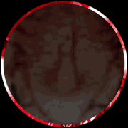일류