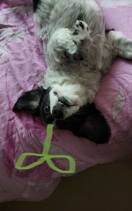 차가운온기