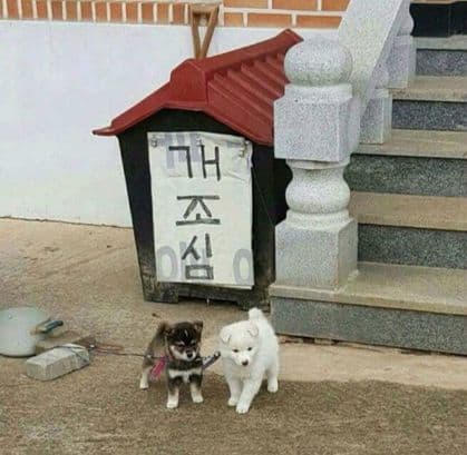 방셀러 프로필