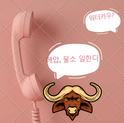 궁디딱대~♡ 프로필