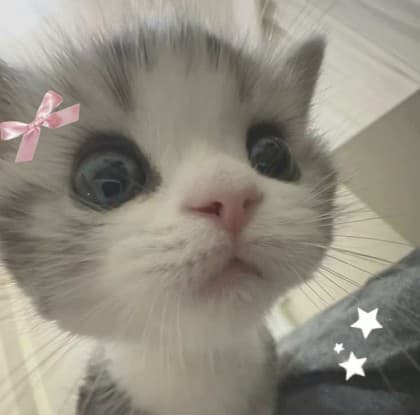 뭉혜인