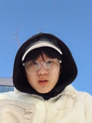 윤우섬