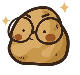 소프트1 프로필