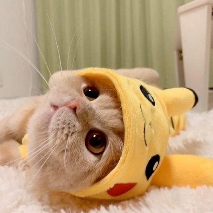 쁘규