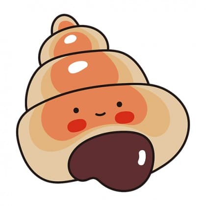 안니크 프로필