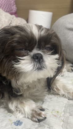 김단비♥