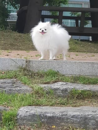 룰더에요