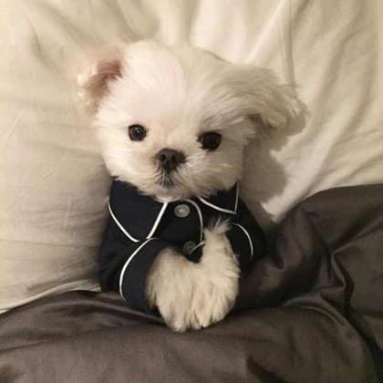 움
