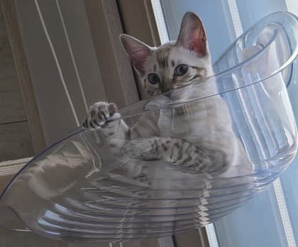 거북00