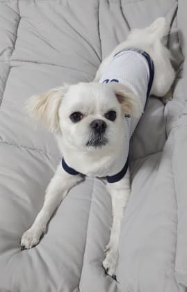 시나당♥