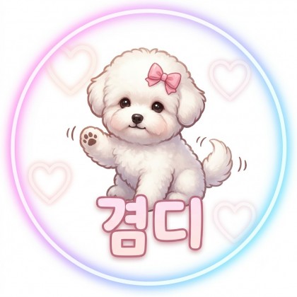 겸디 프로필