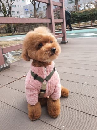저드☆