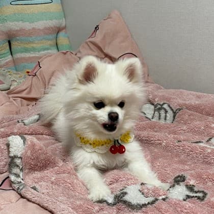 손상빈