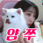 얌쭈 프로필