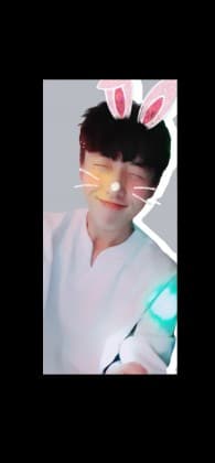 -나비