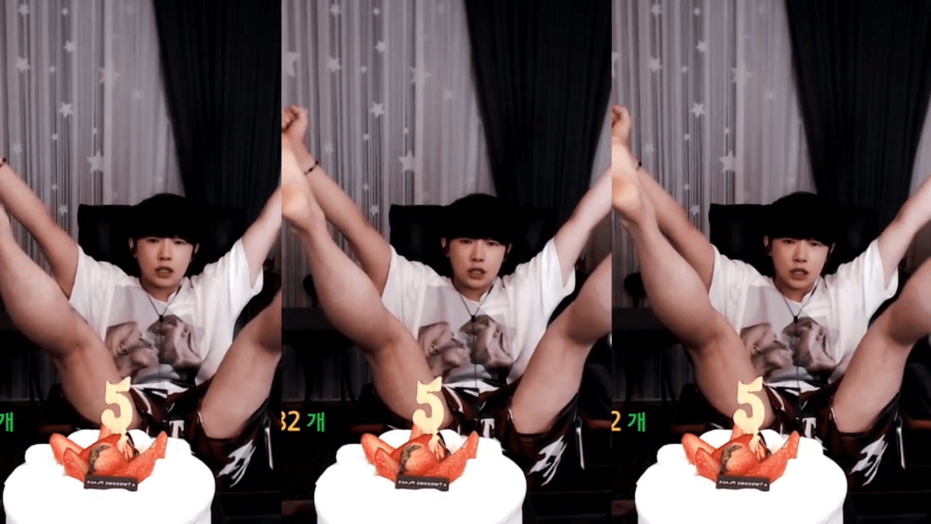 자앙문충 프로필