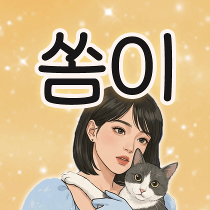 쏨이ㅤ 프로필
