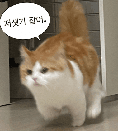 목이버섯_
