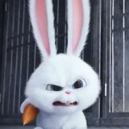 엄마ㅂㅈ조물 프로필