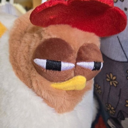 수윤 프로필