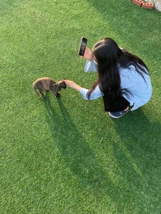 소영*-*