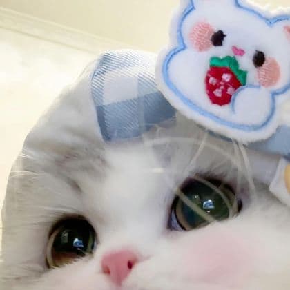 소히뚱 프로필