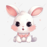 (OK)_피파 프로필