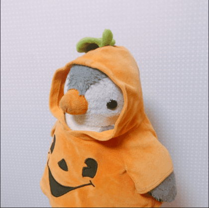 루치-_- 프로필