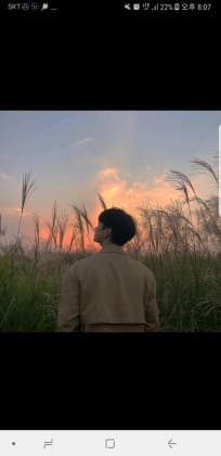 피카소ㅤ