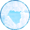 임상우. 프로필