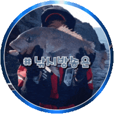 남도낚시꾼 프로필