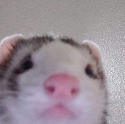 뚜현