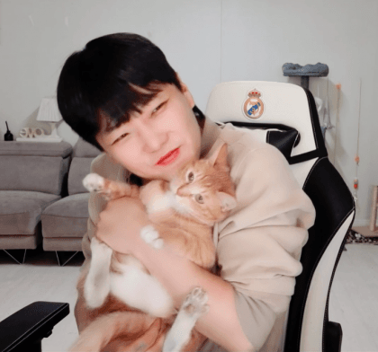 도도미
