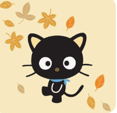 초코캣캣