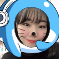 게임백상아리