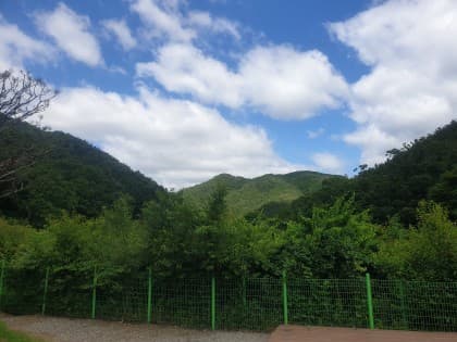 왕모 프로필