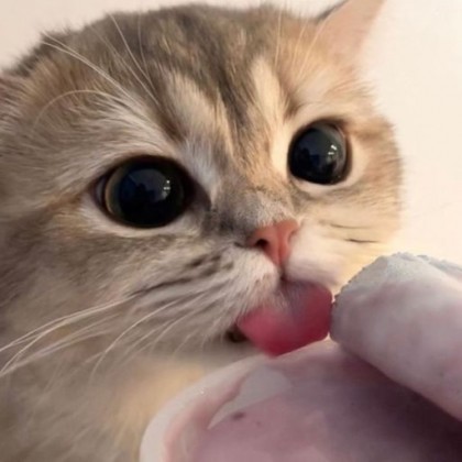 은빛.
